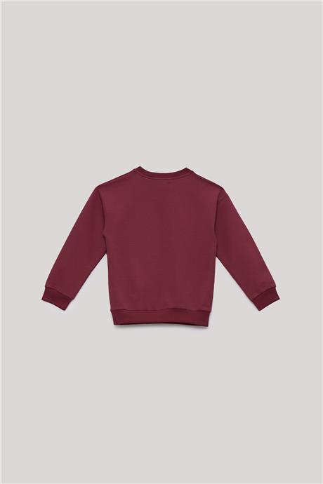 Nebbati Basic Erkek Çocuk Kırmızı Sweatshirt
