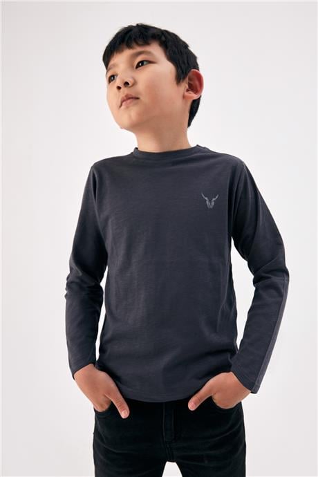 Nebbati Erkek Çocuk Antrasit T-Shirt