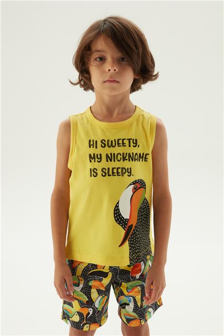 Nebbati Erkek Çocuk Desenli Pijama Takımı