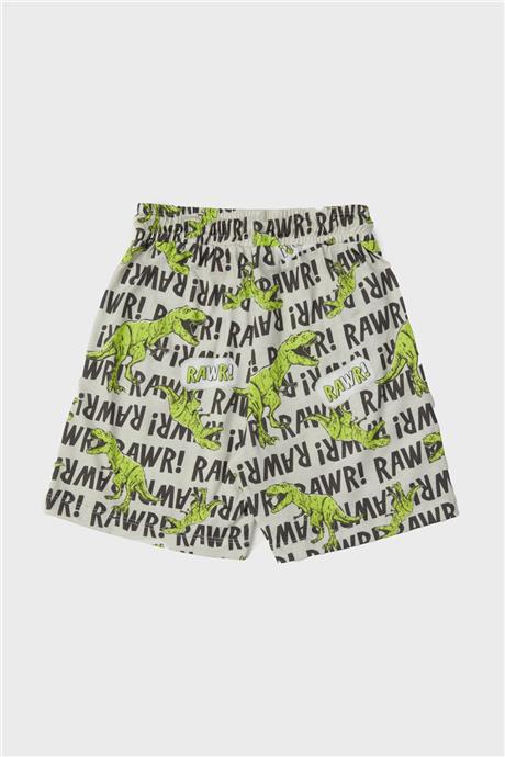 Nebbati Erkek Çocuk Desenli Pijama Takımı