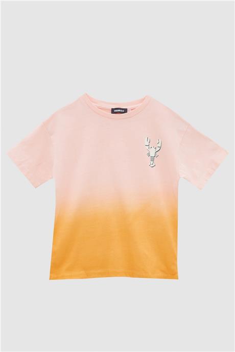 Nebbati Erkek Çocuk Desenli T-Shirt
