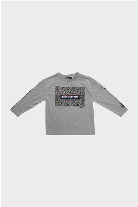 Nebbati Erkek Çocuk Gri T-Shirt