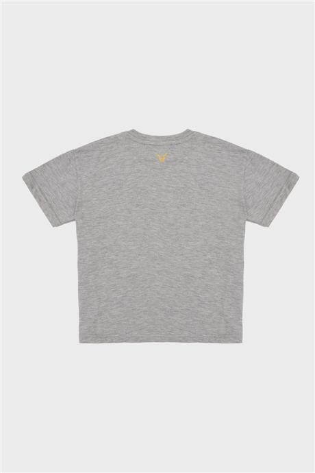 Nebbati Erkek Çocuk Gri T-Shirt