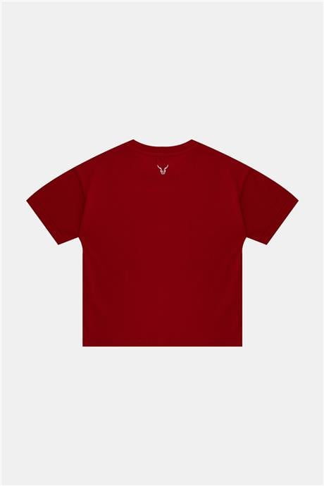 Nebbati Erkek Çocuk Kırmızı Tshirt