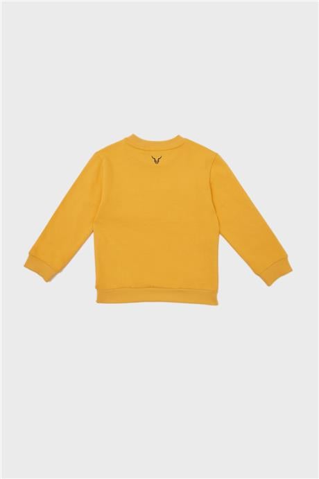 Nebbati Erkek Çocuk Oranj Sweatshirt