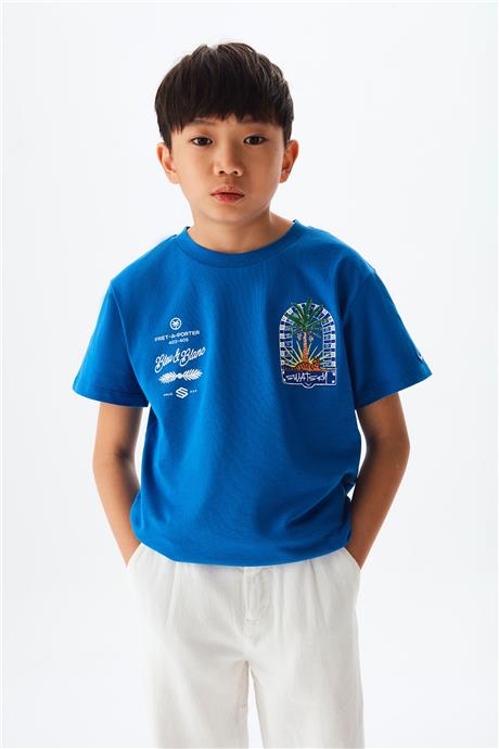 Swatsky Erkek Çocuk Mavi Tshirt