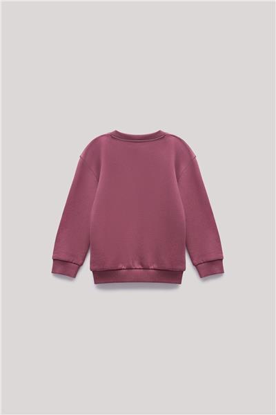 Beverly Hills Polo Club Erkek Çocuk Bordo Sweatshirt