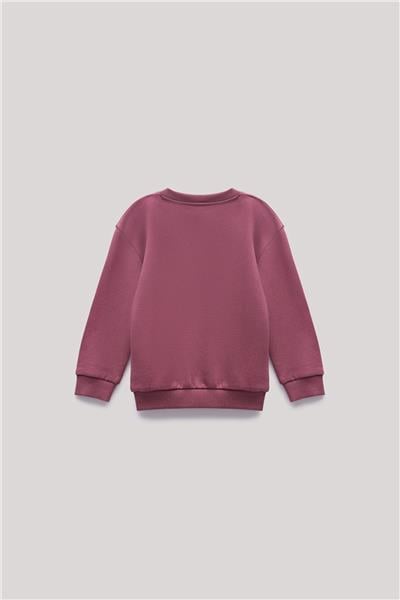 Beverly Hills Polo Club Erkek Çocuk Bordo Sweatshirt