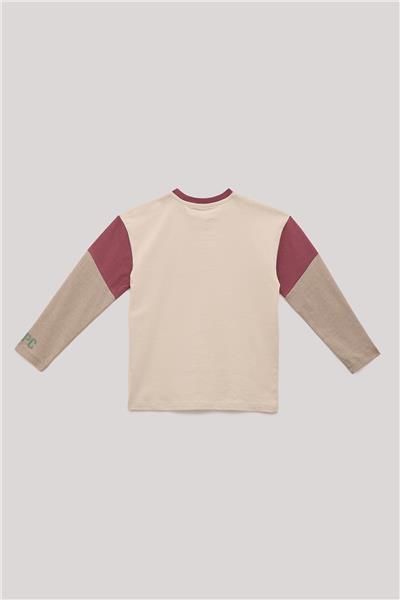 Beverly Hills Polo Club Erkek Çocuk Renkli T-Shirt