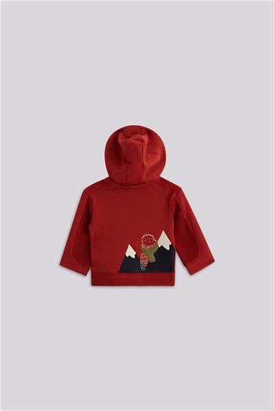 GB Baby Erkek Bebek Bordo Eşofman ÜstüGB Baby Erkek Bebek Bordo Eşofman Üstü
