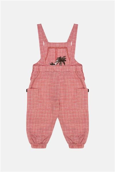 GB Baby Erkek Bebek Desenli Salopet