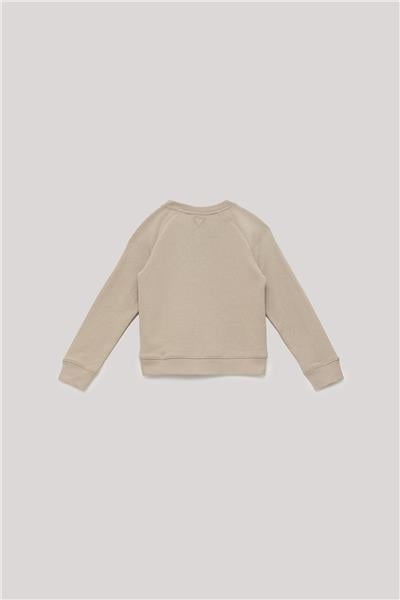 Guess Erkek Çocuk Bej Sweatshirt