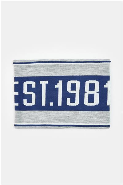 Guess Erkek Çocuk Gri Bere