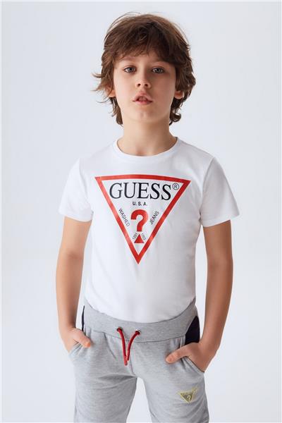 Guess Erkek Çocuk Gri Eşofman Altı