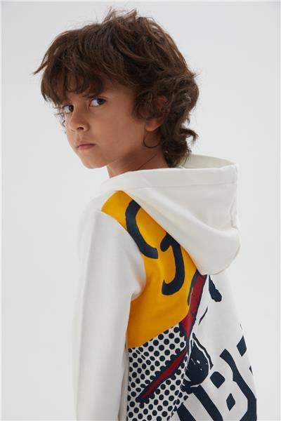 Iceberg Erkek Çocuk Gri Sweatshirt