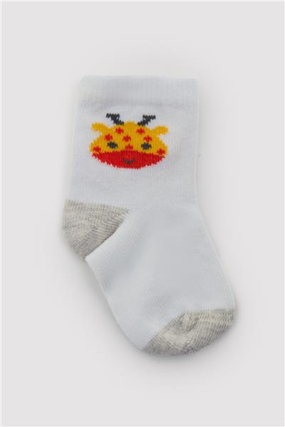 Layette Erkek Bebek Desenli 3lü Çorap