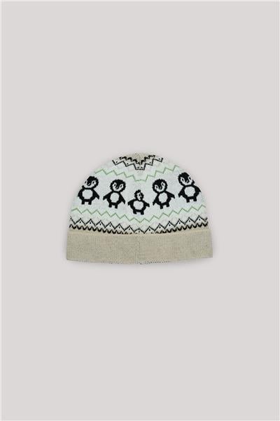 Layette Erkek Bebek Desenli Bere