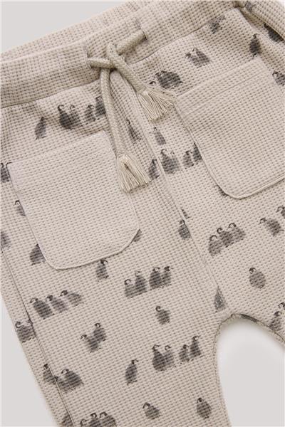 Layette Erkek Bebek Desenli Eşofman Altı
