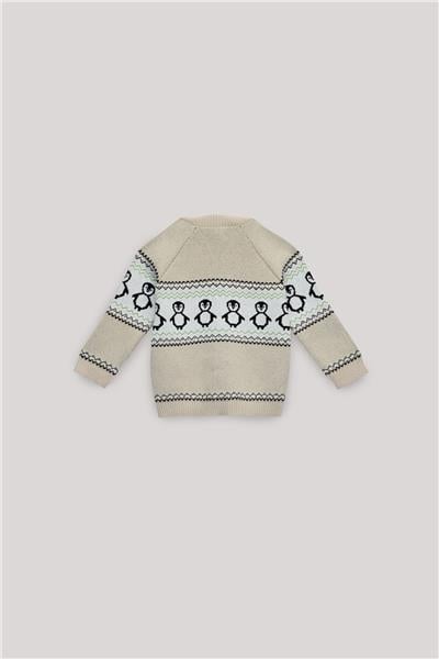 Layette Erkek Bebek Desenli Hırka