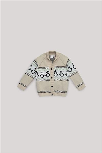 Layette Erkek Bebek Desenli Hırka