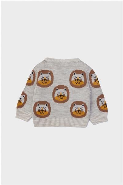 Layette Erkek Bebek Desenli Kazak
