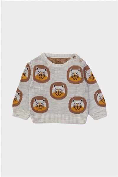 Layette Erkek Bebek Desenli Kazak