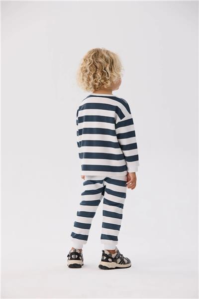 Nebbati Basic Erkek Bebek Çizgili Takım