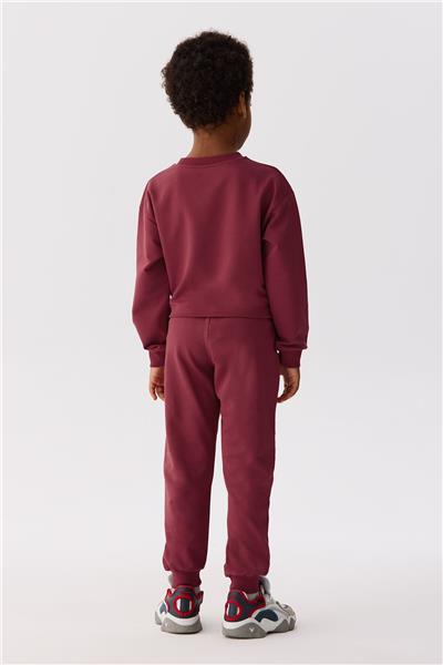 Nebbati Basic Erkek Çocuk Kırmızı Sweatshirt