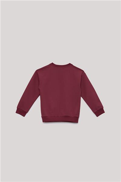Nebbati Basic Erkek Çocuk Kırmızı Sweatshirt