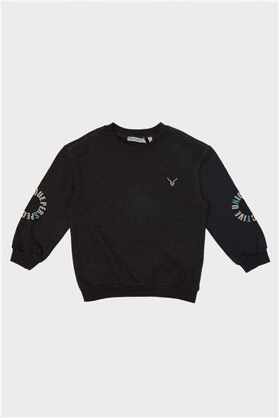Nebbati Erkek Çocuk Antrasit Sweatshirt