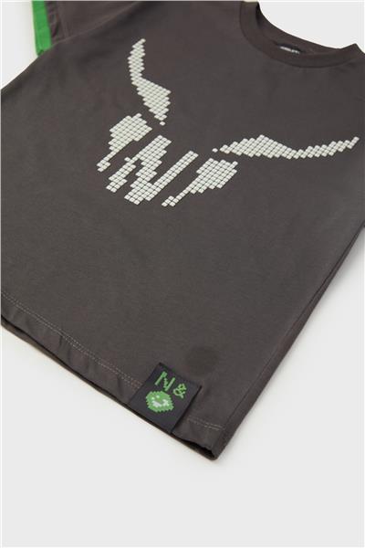 Nebbati Erkek Çocuk Antrasit T-Shirt