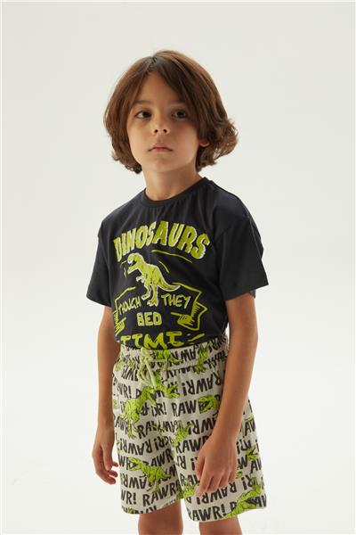 Nebbati Erkek Çocuk Desenli Pijama Takımı
