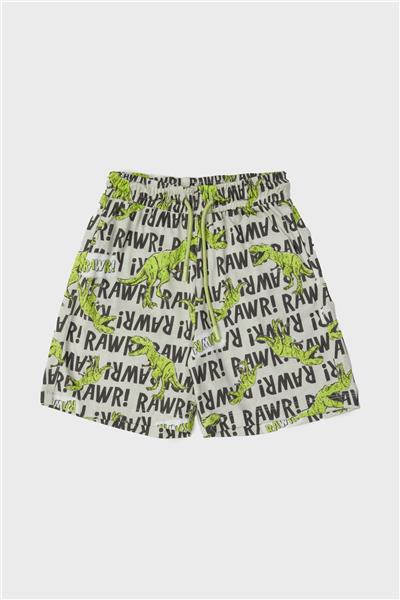 Nebbati Erkek Çocuk Desenli Pijama Takımı