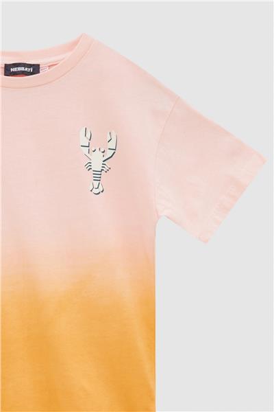 Nebbati Erkek Çocuk Desenli T-Shirt