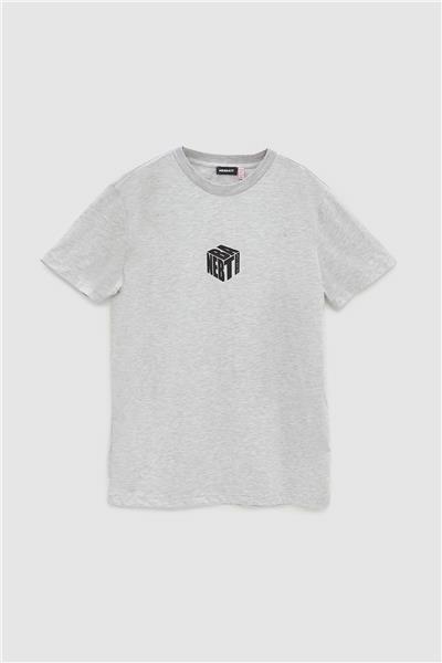 Nebbati Erkek Çocuk Gri Melanj T-Shirt