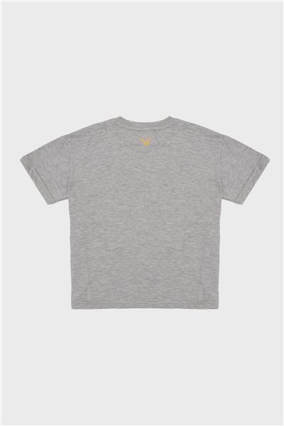 Nebbati Erkek Çocuk Gri T-Shirt