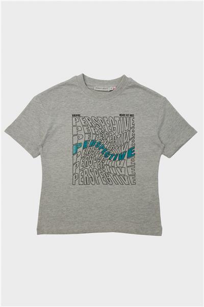 Nebbati Erkek Çocuk Gri T-Shirt