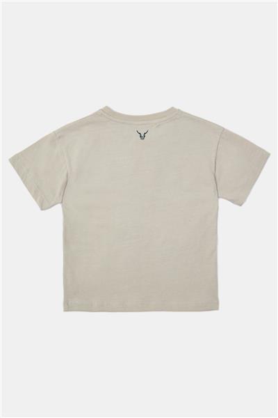 Nebbati Erkek Çocuk Gri Tshirt