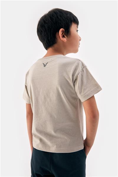 Nebbati Erkek Çocuk Gri Tshirt