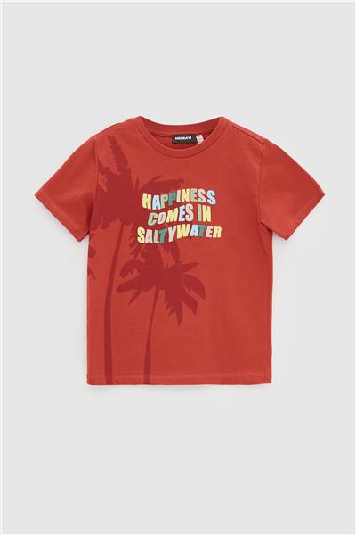 Nebbati Erkek Çocuk Kiremit T-Shirt