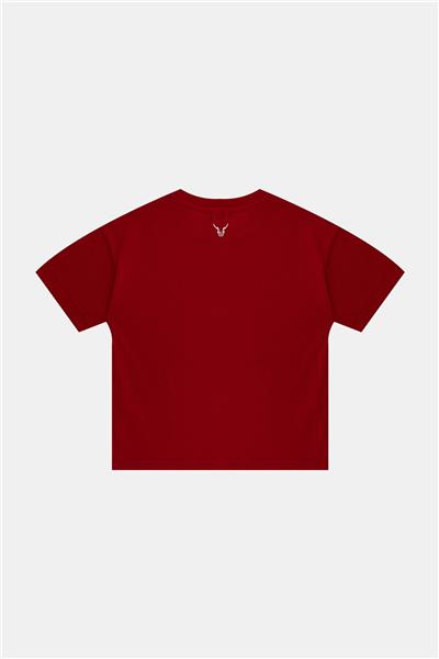 Nebbati Erkek Çocuk Kırmızı Tshirt