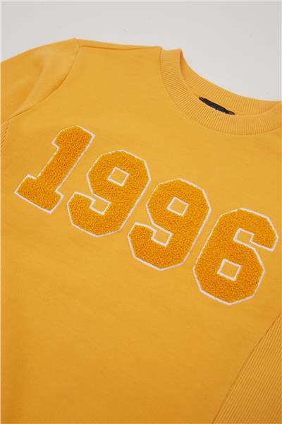 Nebbati Erkek Çocuk Oranj Sweatshirt