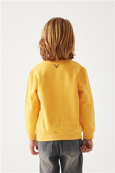 Nebbati Erkek Çocuk Oranj Sweatshirt