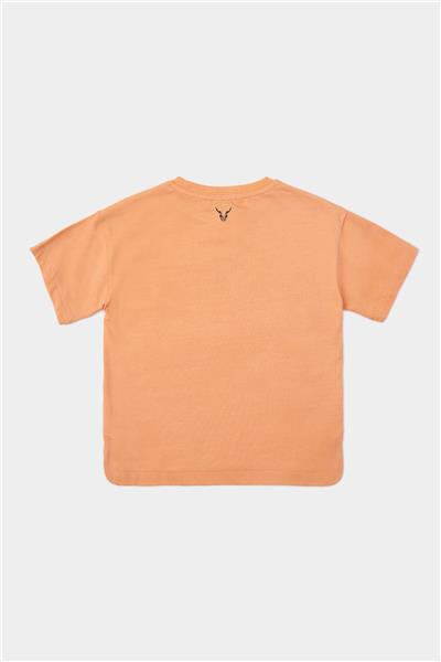 Nebbati Erkek Çocuk Oranj Tshirt