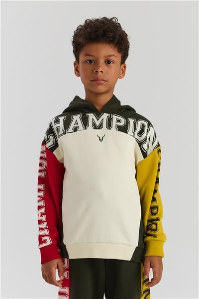 Nebbati Erkek Çocuk Renkli SweatshirtNebbati Erkek Çocuk Renkli Sweatshirt