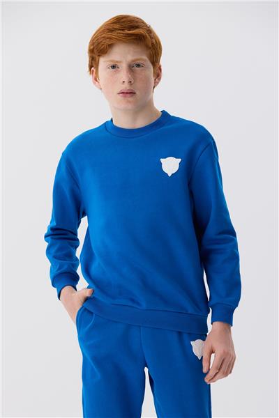 Nebbati Erkek Çocuk Saks Sweatshirt