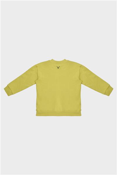 Nebbati Erkek Çocuk Yeşil Sweatshirt