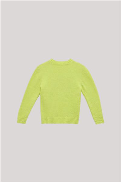 Nebbati Erkek Çocuk Yeşil Sweatshirt