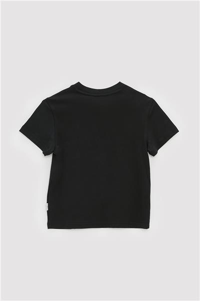 Swatsky Erkek Çocuk Antrasit T-Shirt