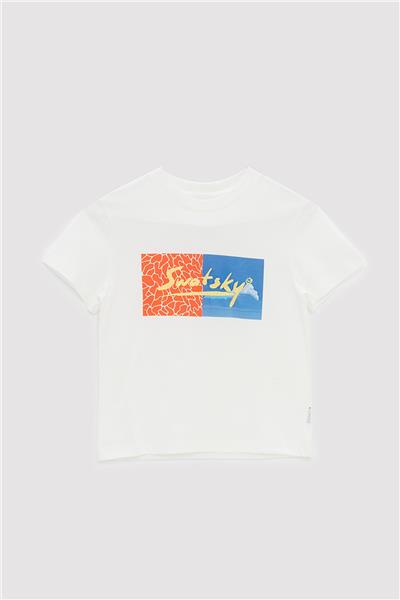 Swatsky Erkek Çocuk Bej T-Shirt